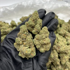 Banana Zurpp Strain 3